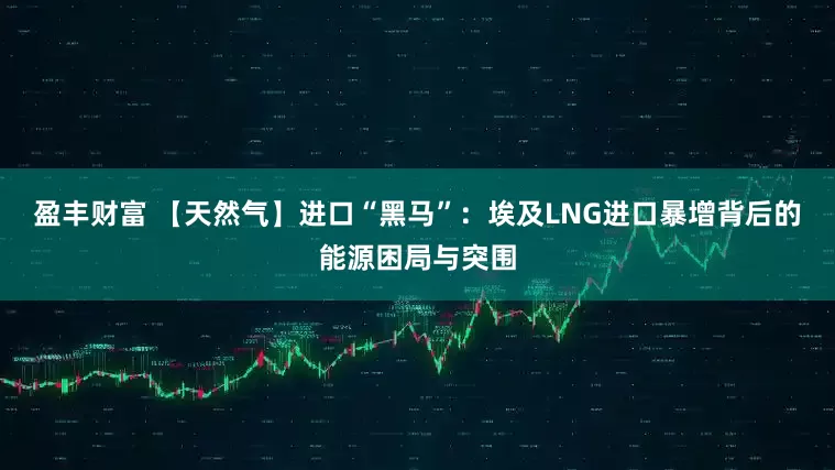 盈丰财富 【天然气】进口“黑马”：埃及LNG进口暴增背后的能源困局与突围