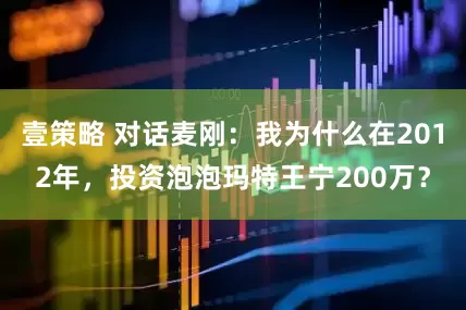 壹策略 对话麦刚：我为什么在2012年，投资泡泡玛特王宁200万？