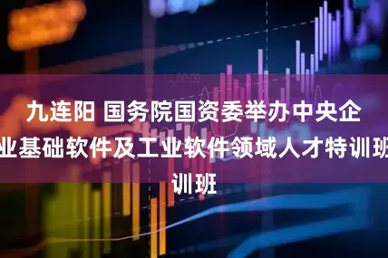 九连阳 国务院国资委举办中央企业基础软件及工业软件领域人才特训班