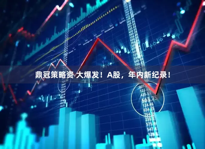 鼎冠策略资 大爆发！A股，年内新纪录！